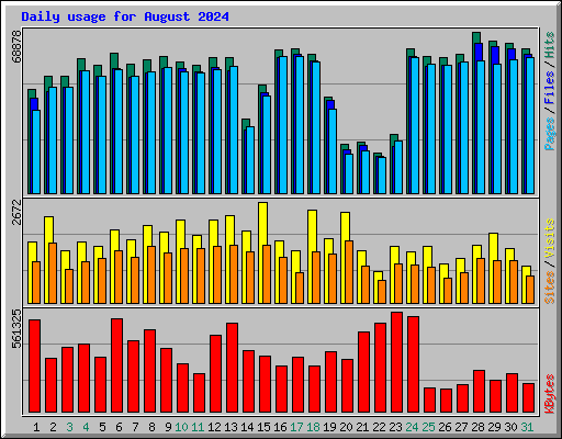 Daily usage for August 2024