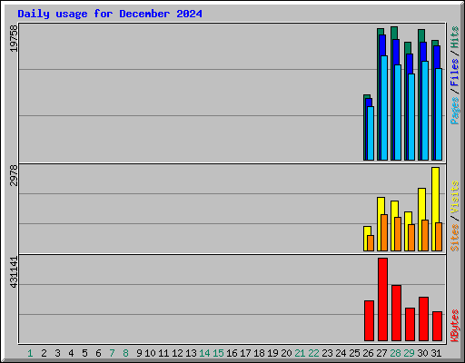 Daily usage for December 2024