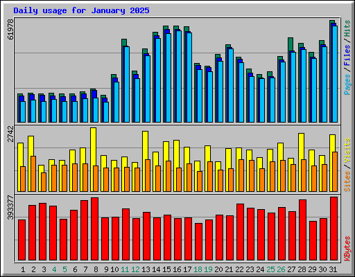 Daily usage for January 2025