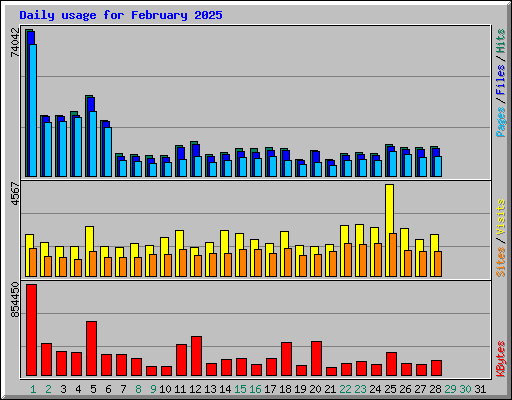 Daily usage for February 2025