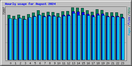 Hourly usage for August 2024