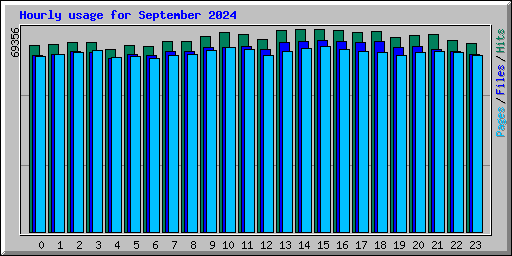 Hourly usage for September 2024