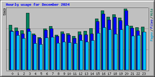 Hourly usage for December 2024