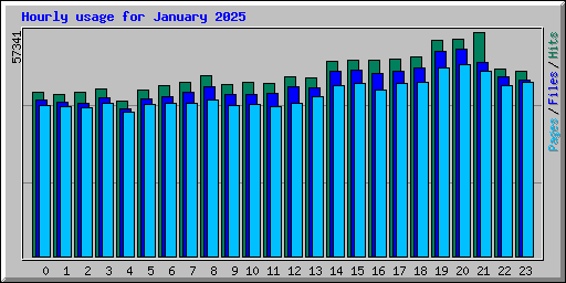 Hourly usage for January 2025