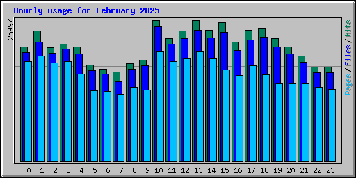 Hourly usage for February 2025