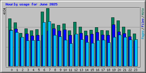 Hourly usage for June 2025