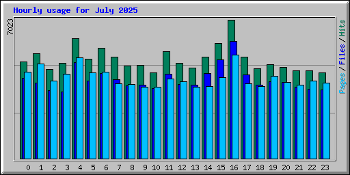 Hourly usage for July 2025