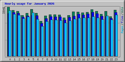 Hourly usage for January 2026